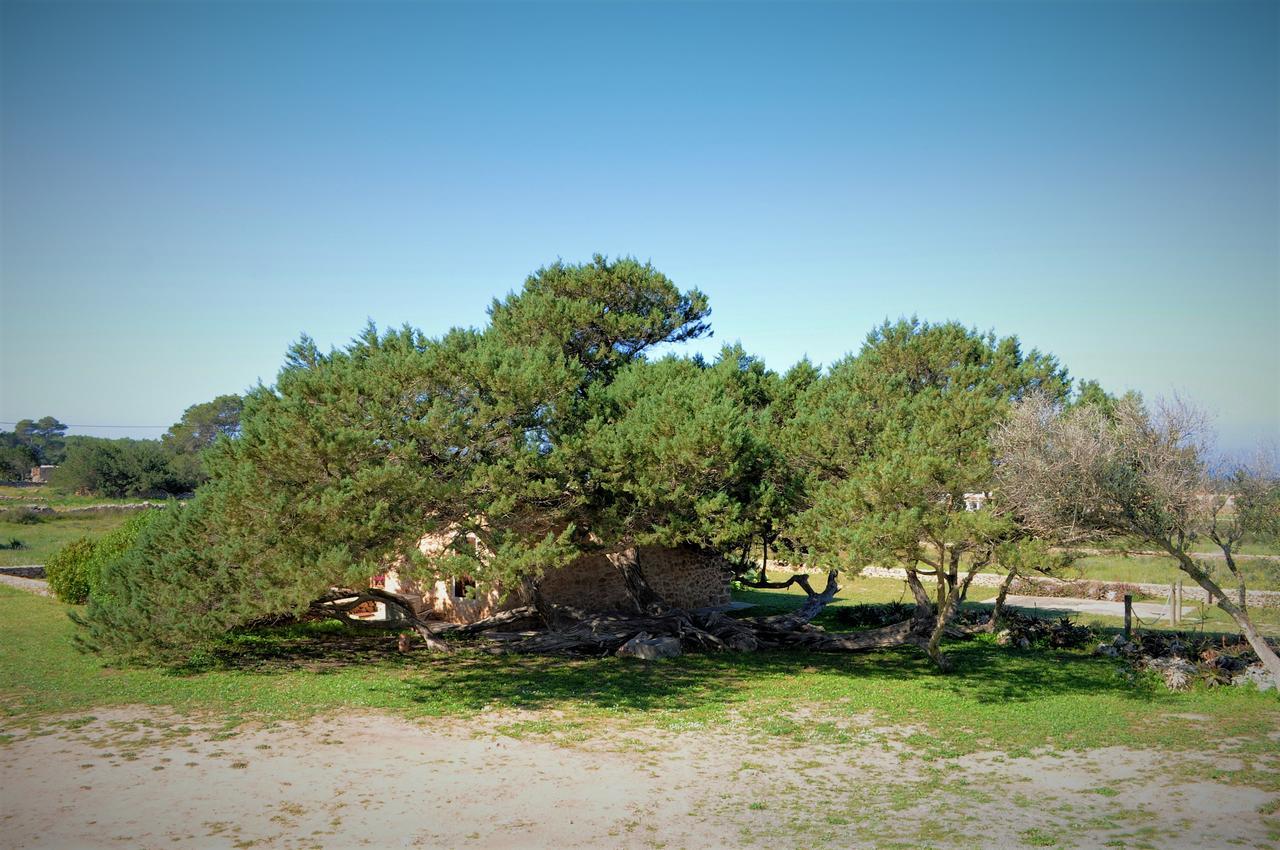 Villa Siamo Bella San Francisco Javier Esterno foto