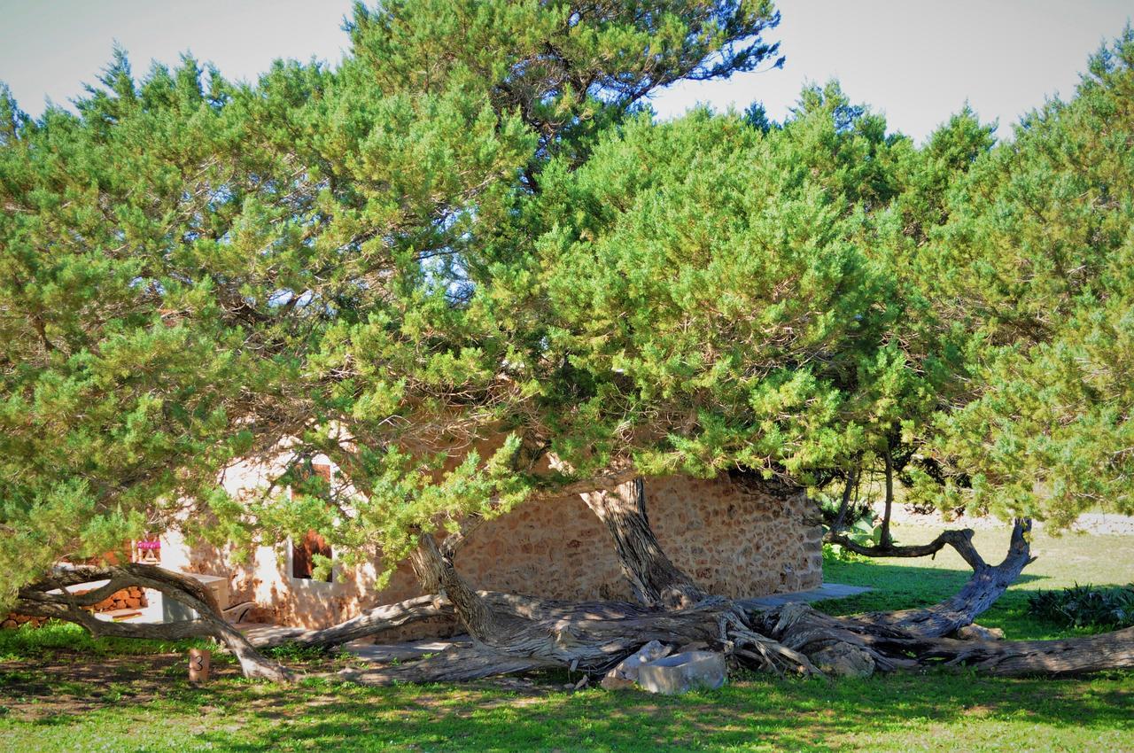 Villa Siamo Bella San Francisco Javier Esterno foto